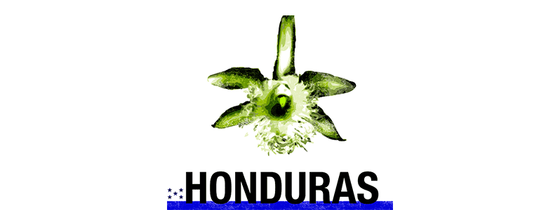 Honduras feminicidio