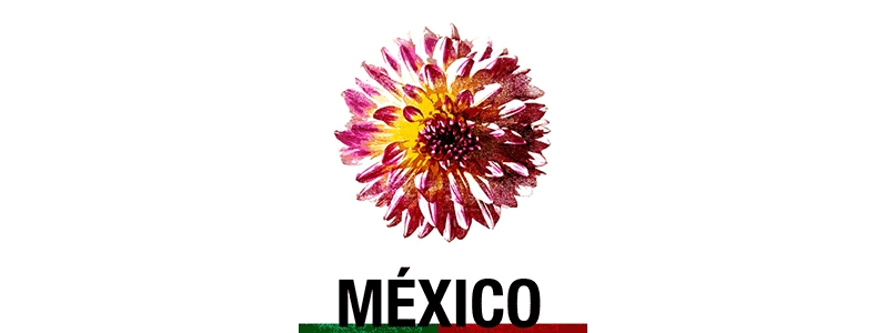 México feminicidio