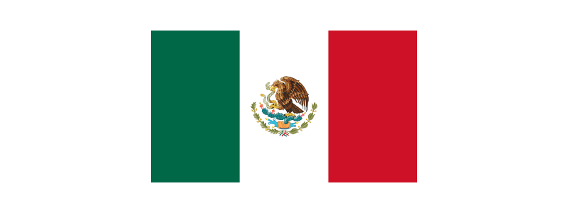 tipificación feminicidio México
