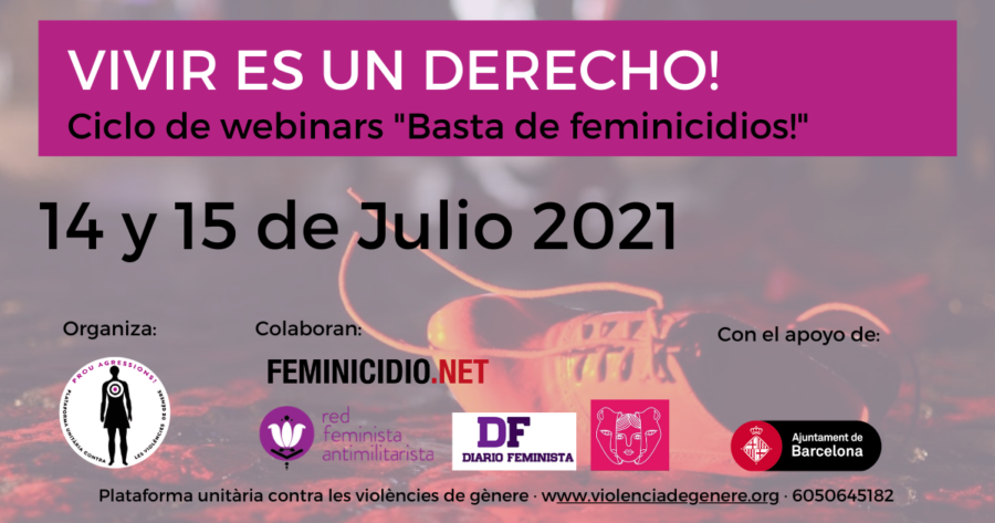 Ciclo de webinars basta de feminicidios
